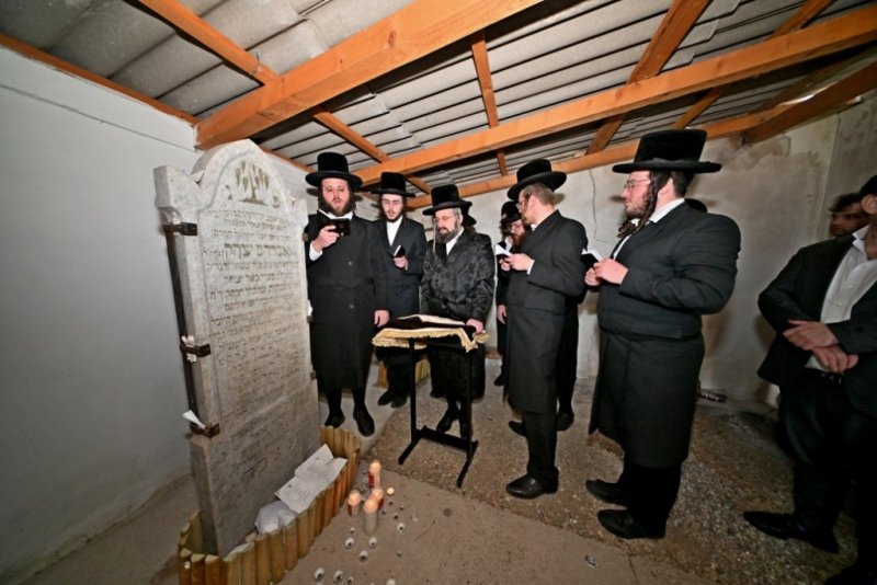 יהושע פרוכטר