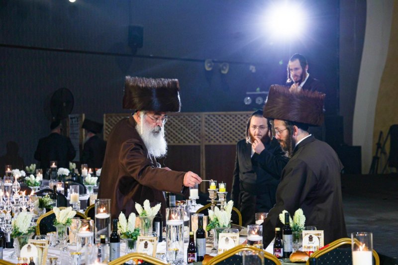 שלומי טריכטר