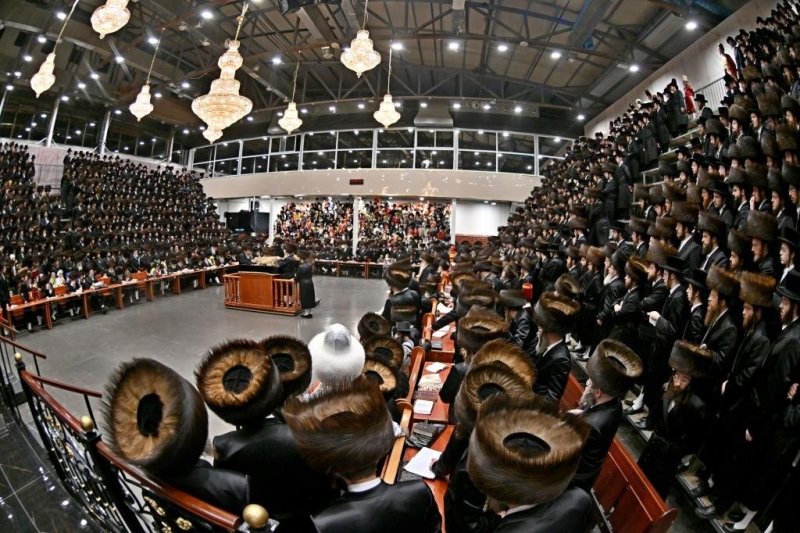 יהושע פרוכטר