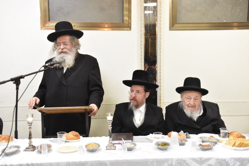 יהודה פרקוביץ