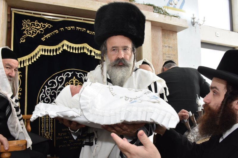 יהודה פרקוביץ