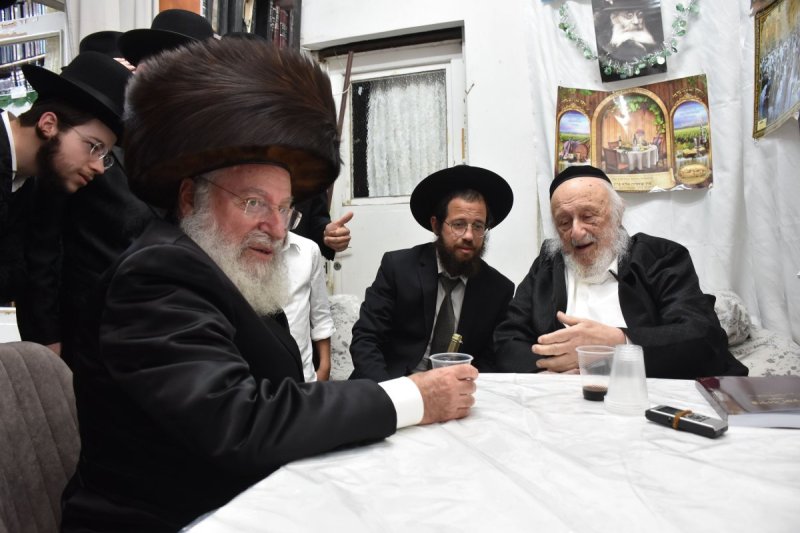 יהודה פרקוביץ