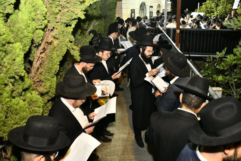 רינה של תורה