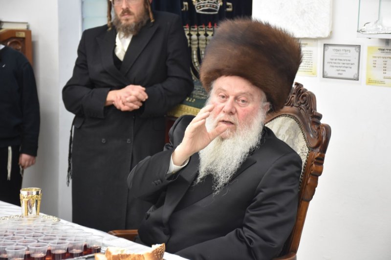 יהודה פרקוביץ