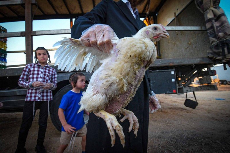 ארי קופרשטוק