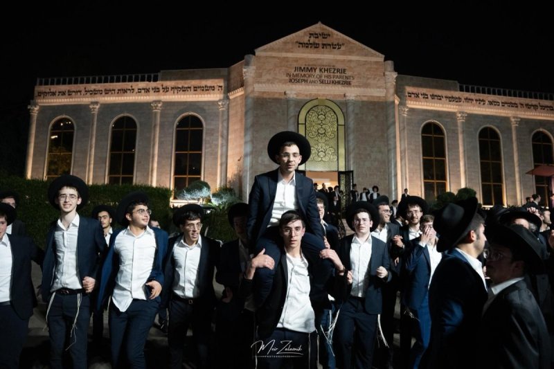 מאיר זלזניק