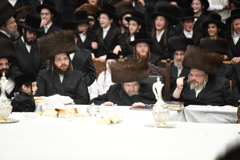 אנשיל בעק