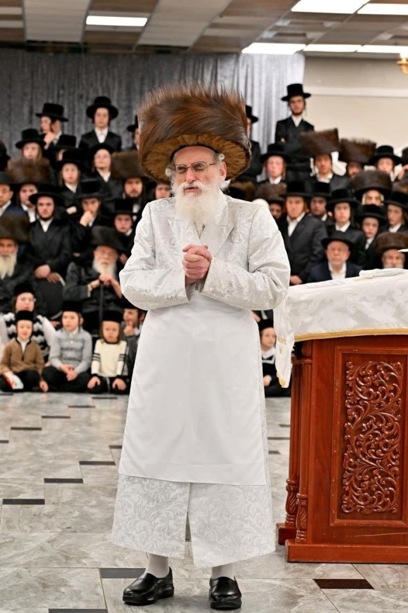 יהושע פרוכטר