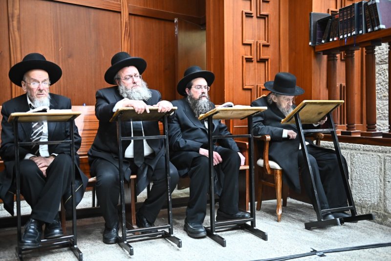 שוקי לרר