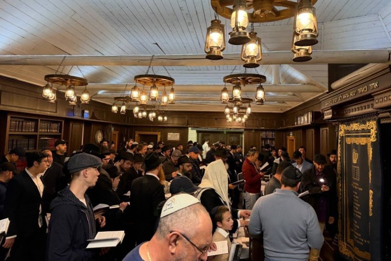 דוברות הקהילה
