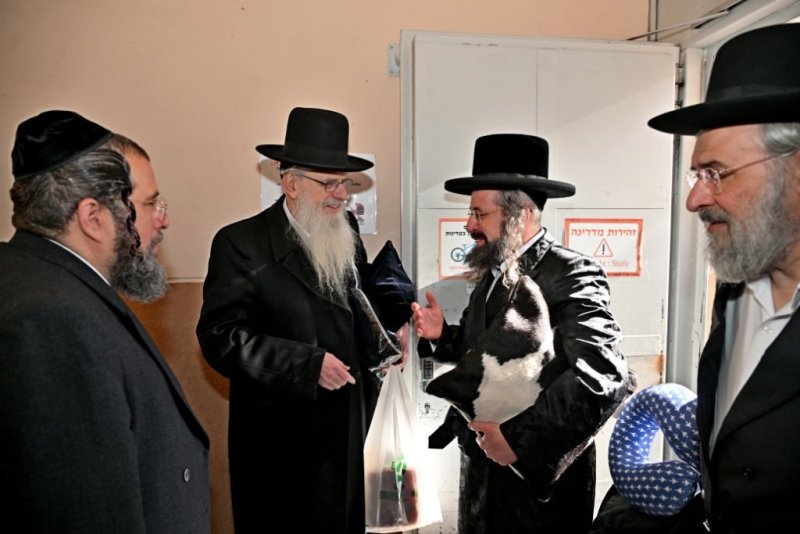 יהושע פרוכטר