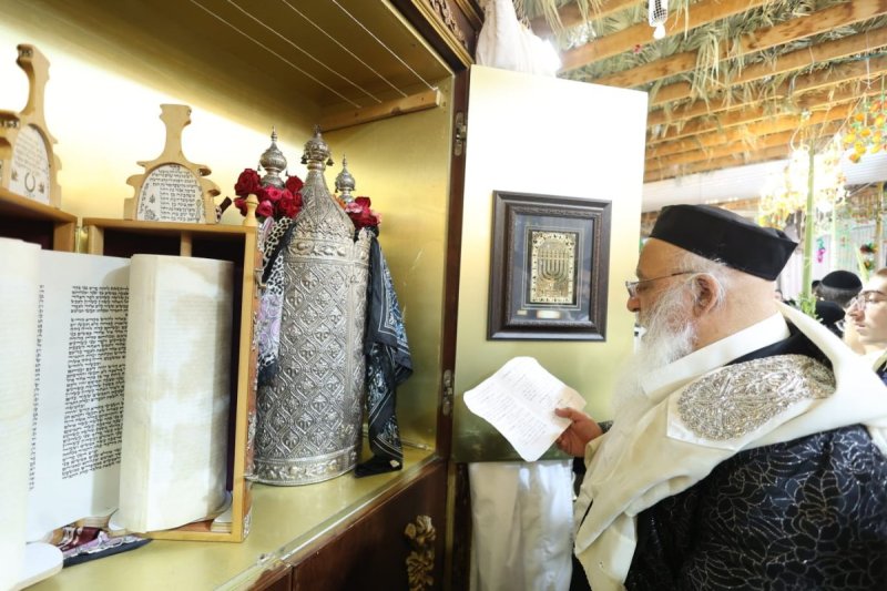 שלומי טריכטר ומ.פ