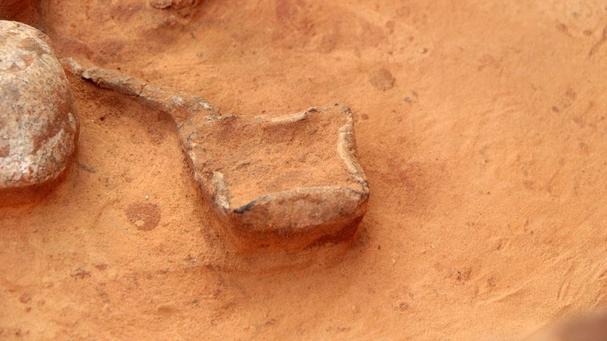 אמיל אלג'ם, רשות העתיקות