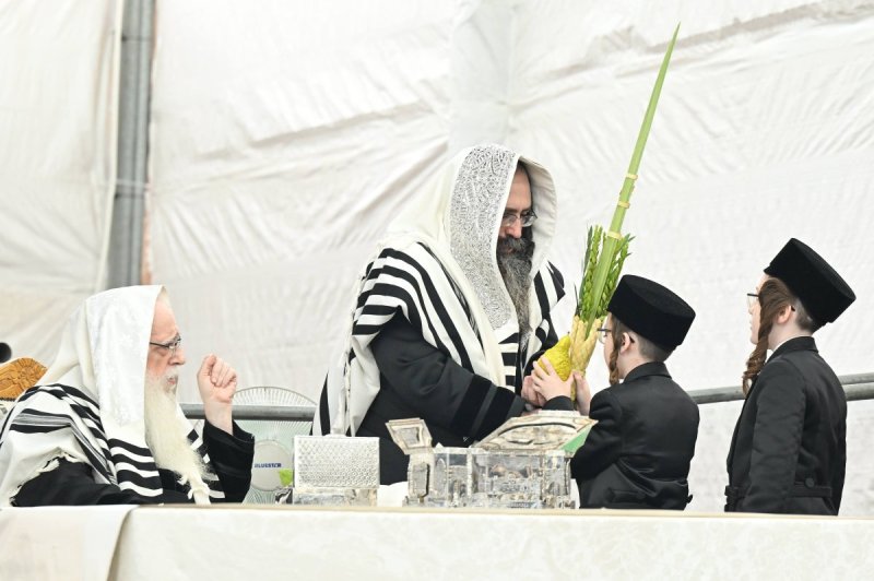 משה גולדשטיין