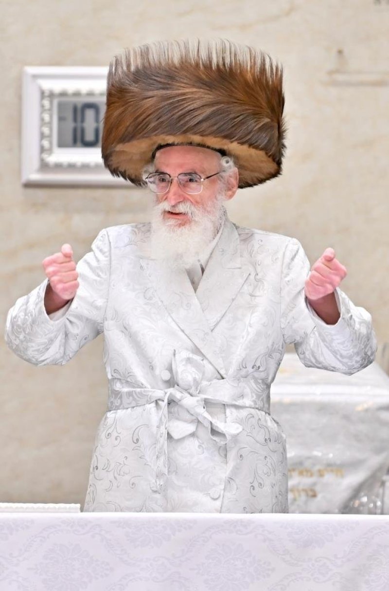 יהושע פרוכטר