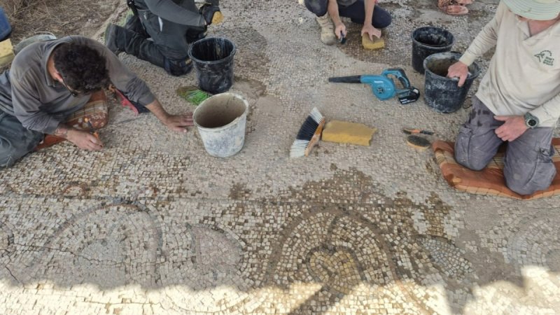 אלה טל חיוט רשות הטבע והגנים