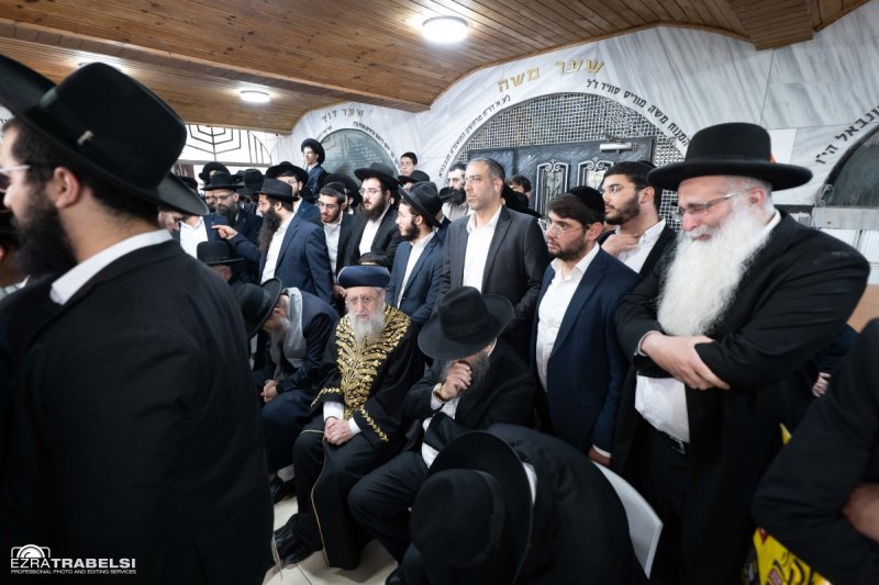 עזרא טרבלסי