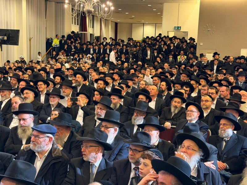 דניאל נפוסי ומאיר זלזניק