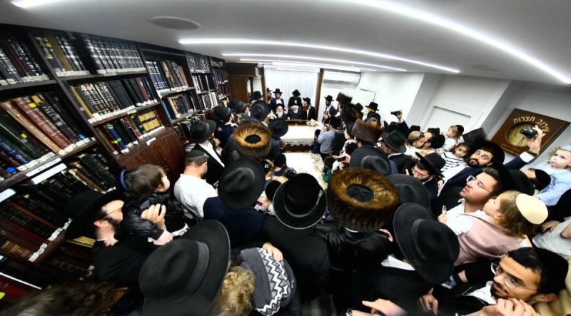 שוקי לרר