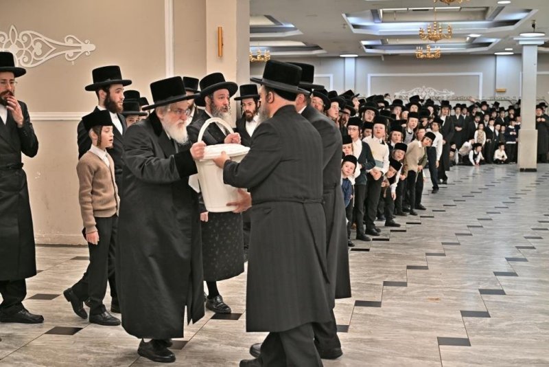 יהושע פרוכטר