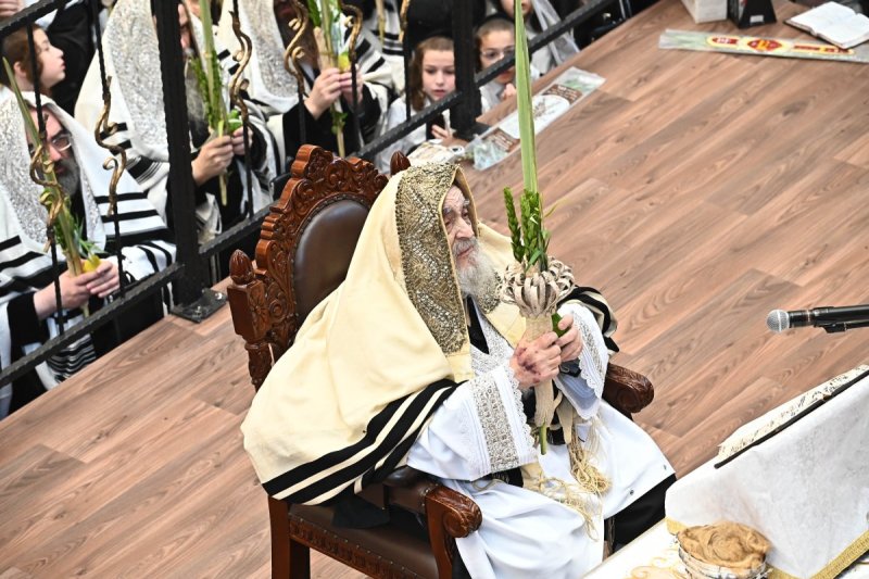 שוקי לרר