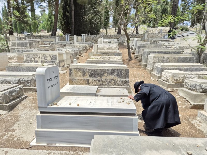 דניאל צרפתי