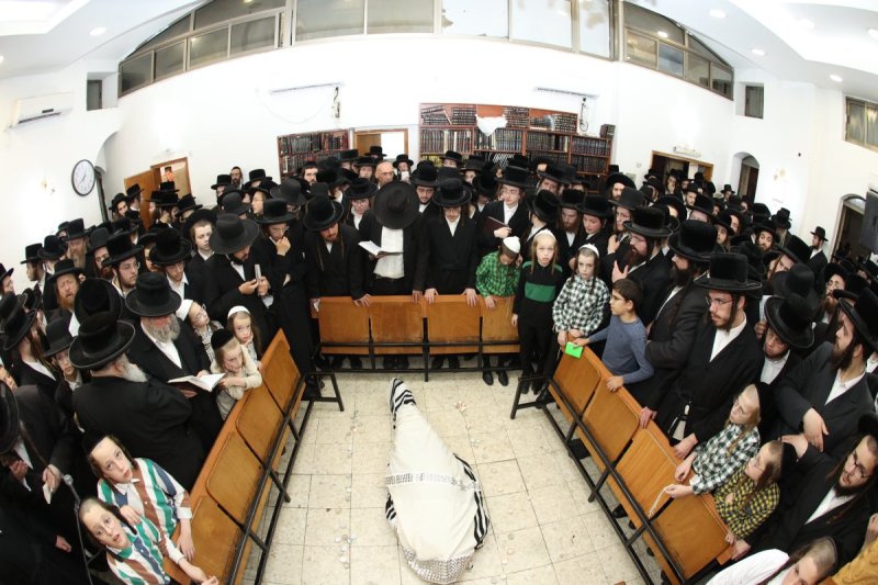 דוד ארזני וארי קופרשטוק