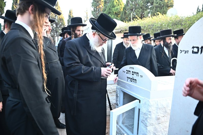 שוקי לרר