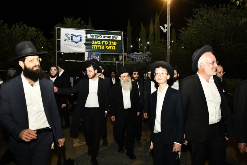 רינה של תורה