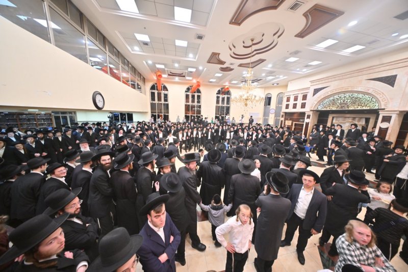 יהושע פרוכטר