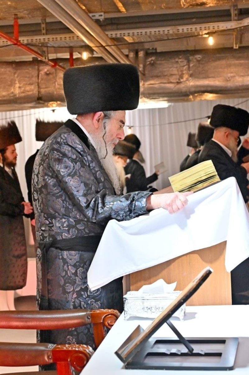 יהושע פרוכטר