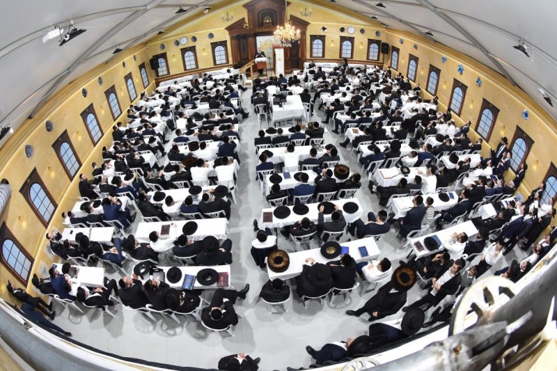 יהודה פרקוביץ