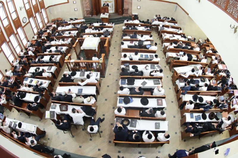 שלומי טריכטר