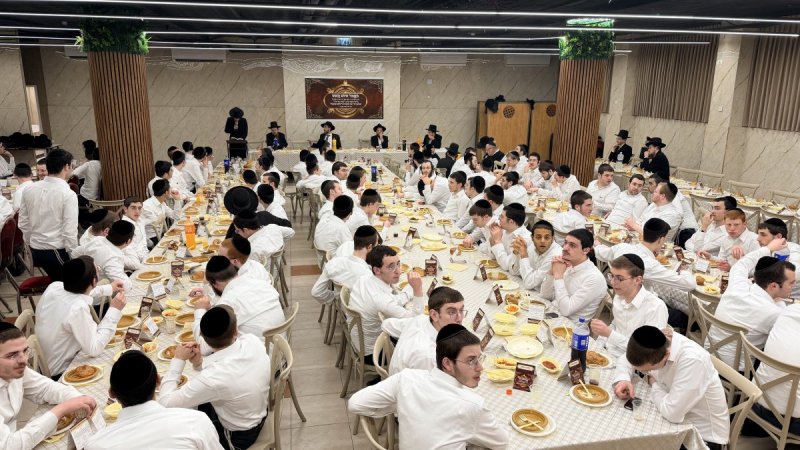 אלעזר פיינשטיין