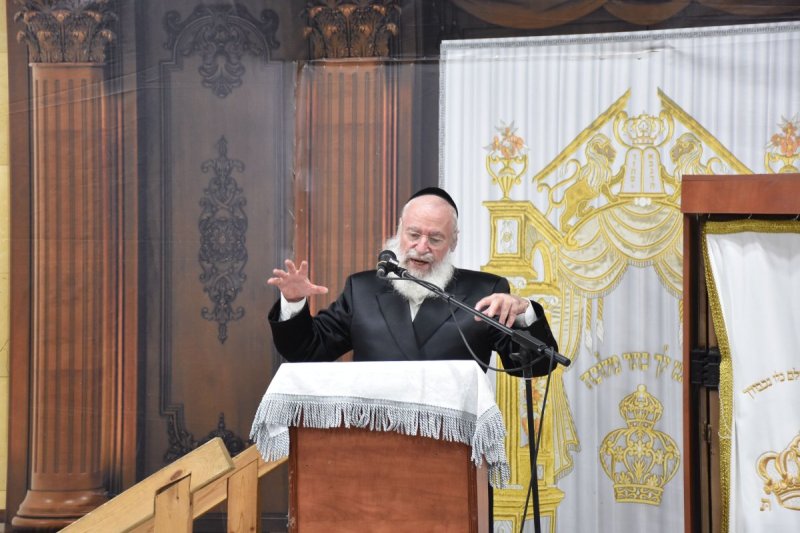 יהודה פרקוביץ