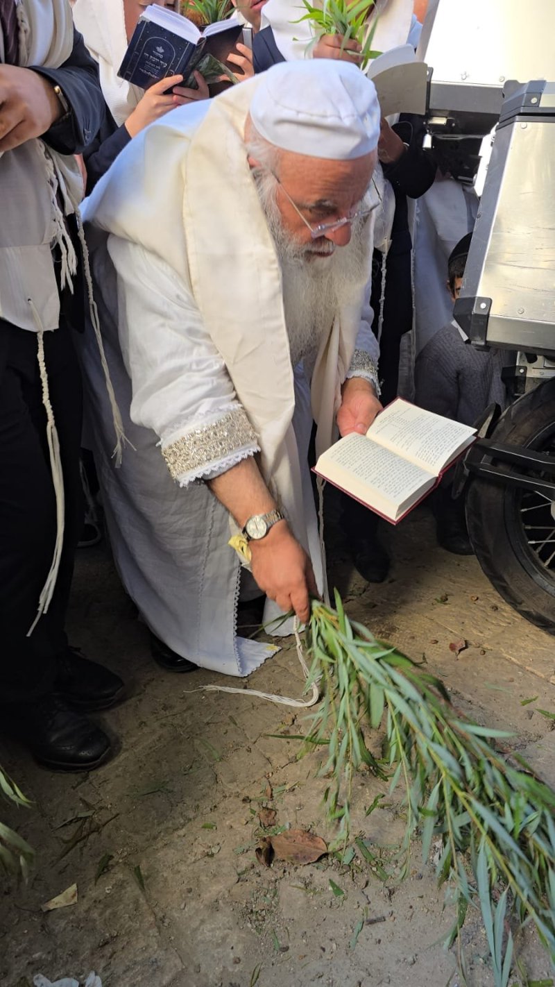 שלומי טריכטר ומ.פ