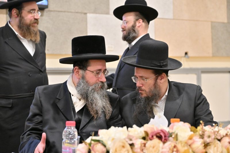 יהושע פרוכטר