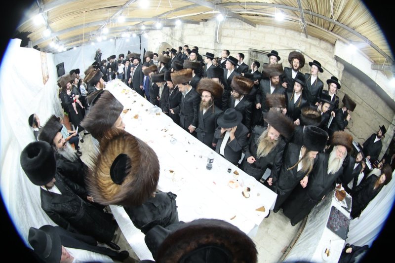 שלומי טריכטר