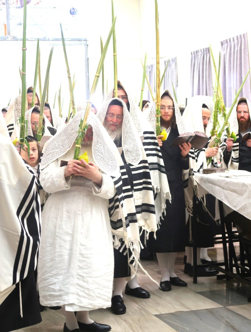 דוד ארזני וארי קופרשטוק