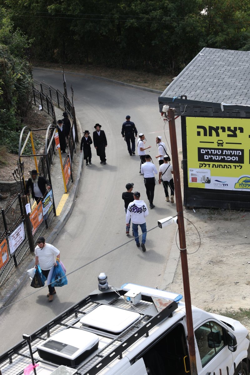 יהודה וויס