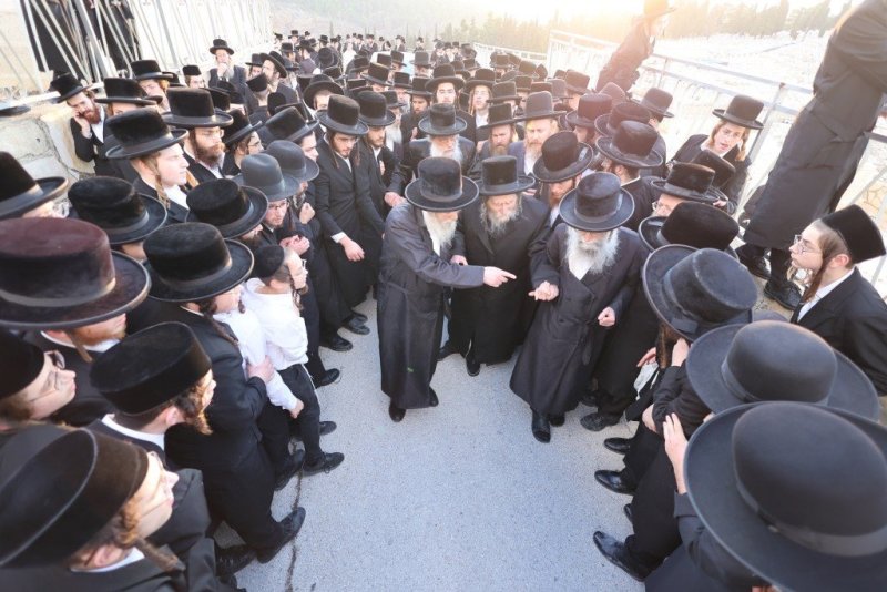 שלומי טריכטר