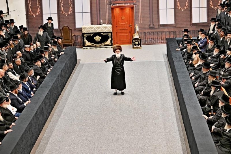 יהושע פרוכטר