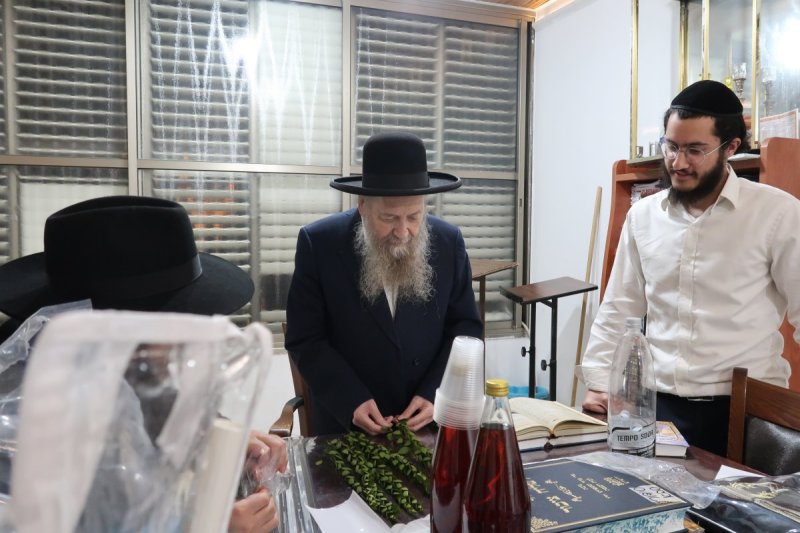 י. פריד