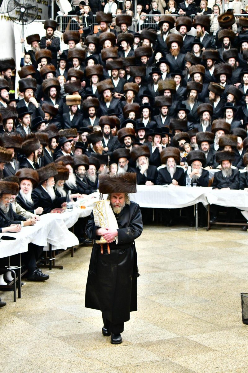 שוקי לרר