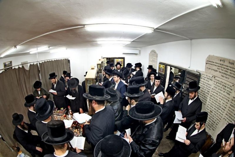 יהושע פרוכטר