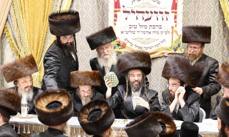 בשילוב שבע ברכות: כך נראה ט"ו בשבט בחצר זוועהיל