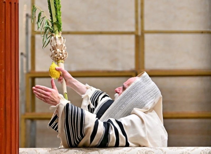 יהושע פרוכטר