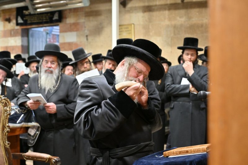 יהושע פרוכטר