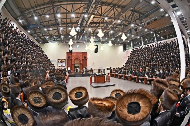 יהושע פרוכטר