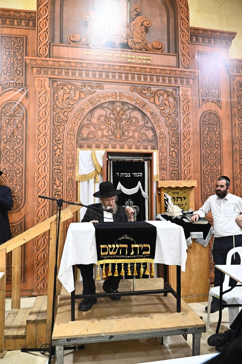 שוקי לרר